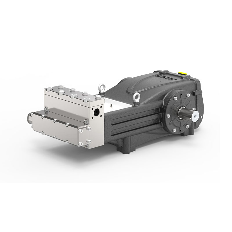 DBS Ro/Chemical Pump Set