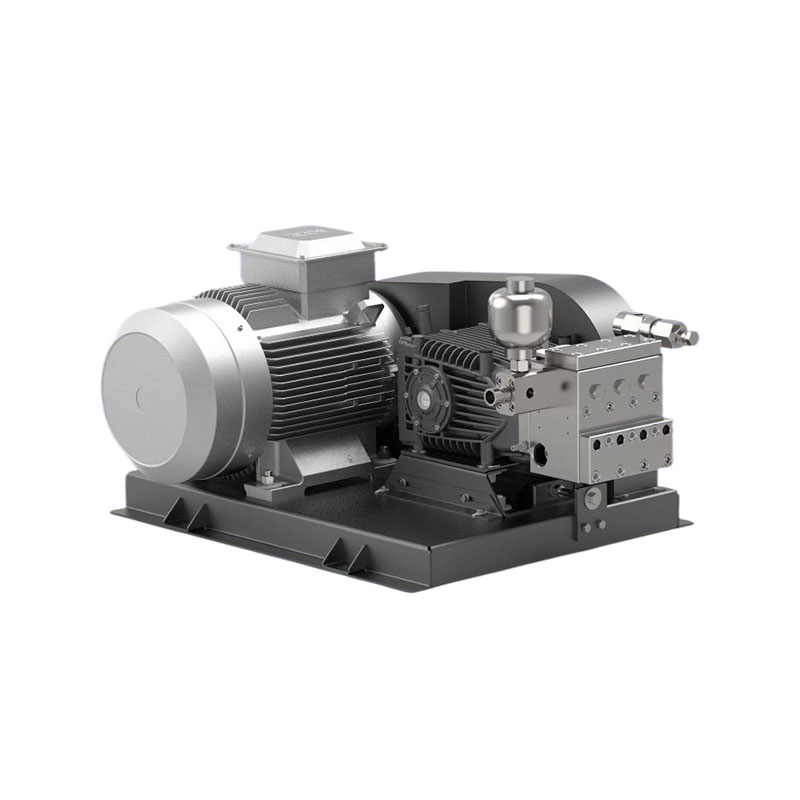 DBF  Ro/Chemical Pump Set