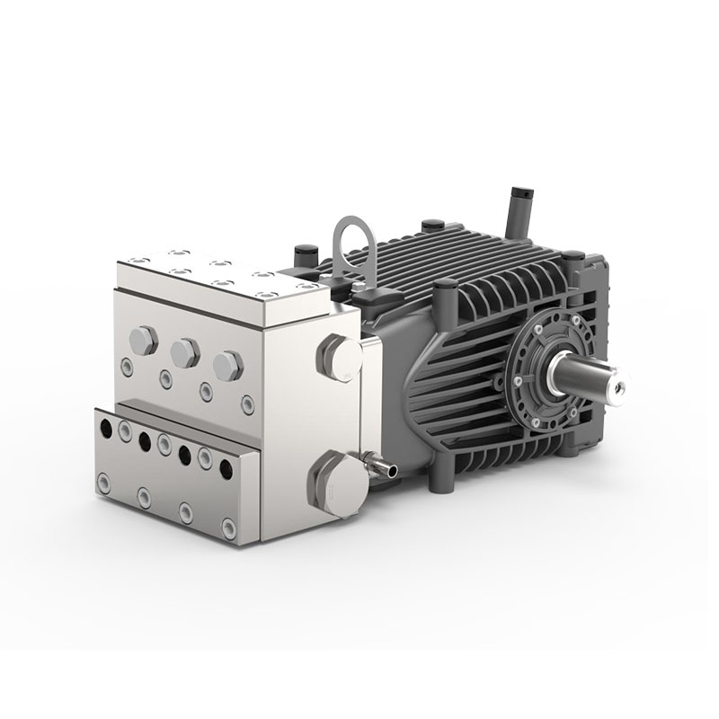 DBF  Ro/Chemical Pump Set