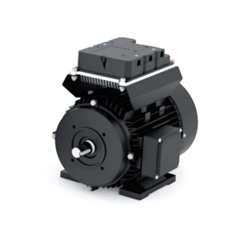 WS132 DC Permanent Magnet Motor
