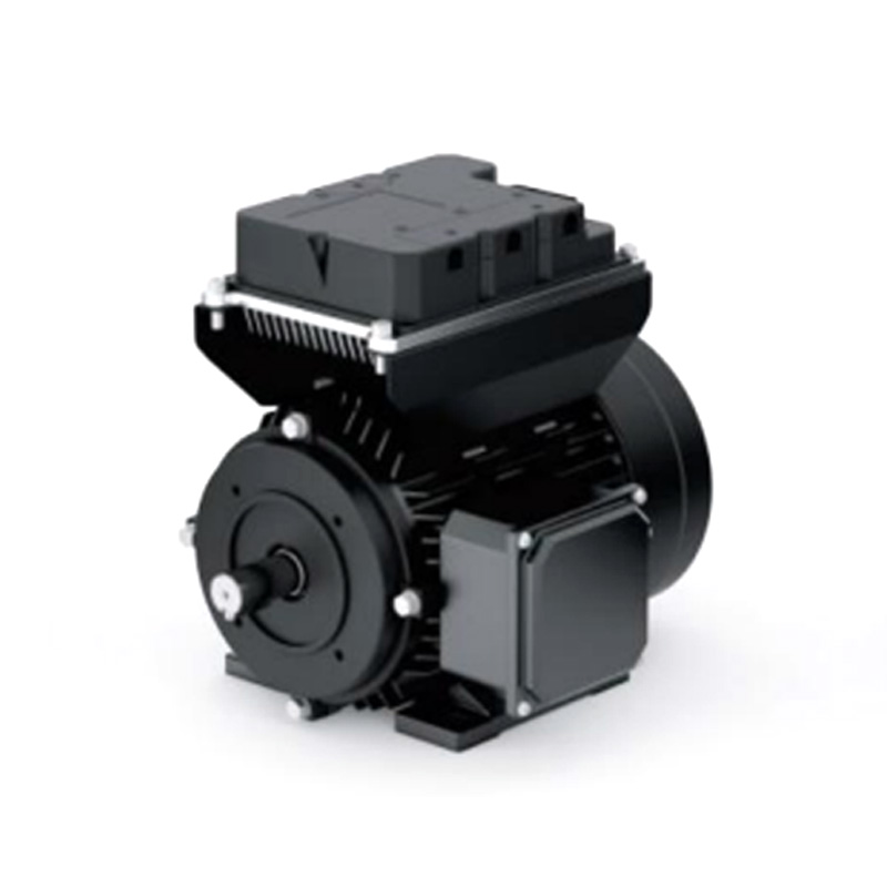 WS112 DC Permanent Magnet Motor
