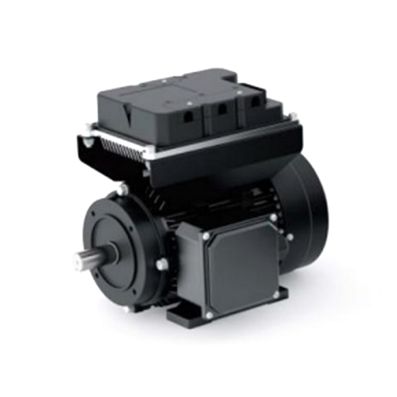 WS100  DC Permanent Magnet Motor