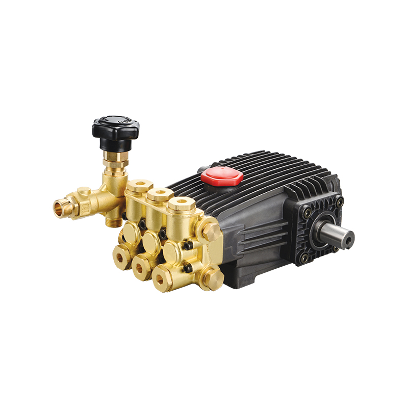 DBE-B Type Solid Shaft Plunger Pump