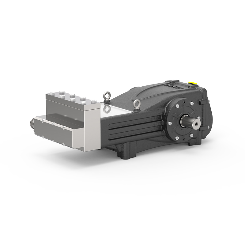 DBS Series Industrial Plunger Pump