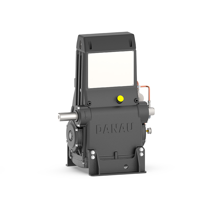 DBW Series Industrial Plunger Pump