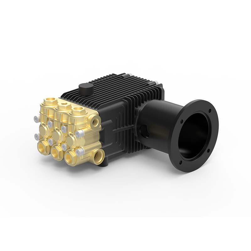 DBF Series Industrial Plunger Pump
