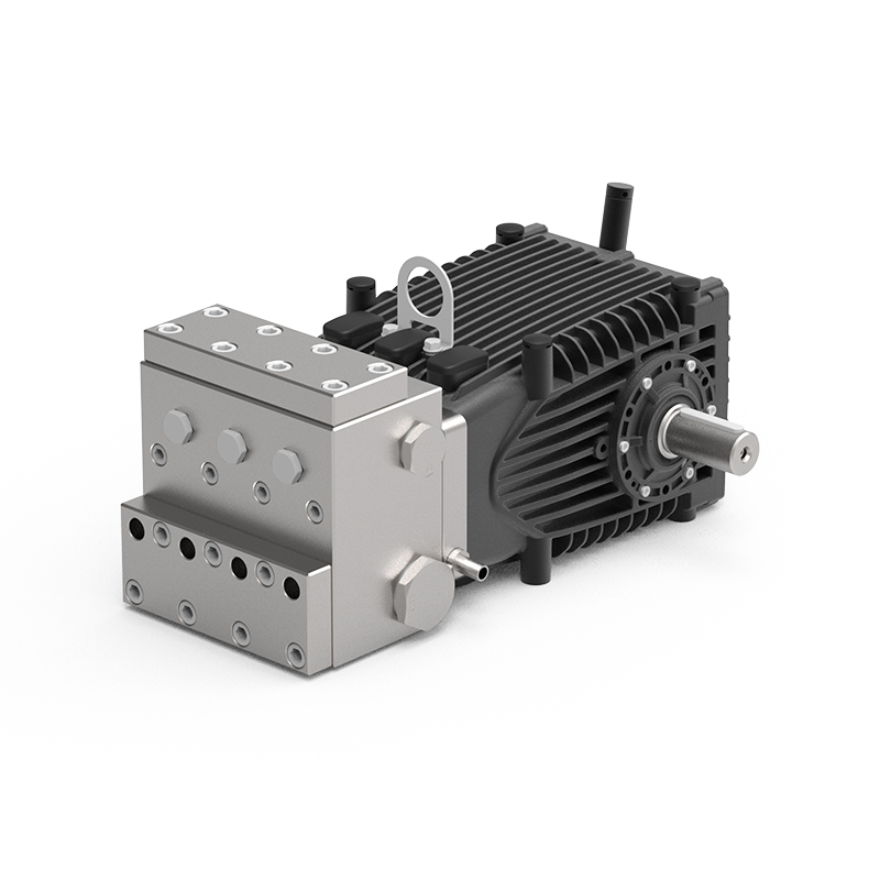 DBH Series Industrial Plunger Pump