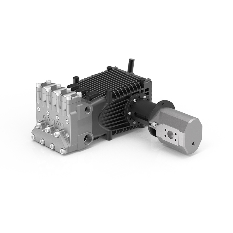 DBH Series Industrial Plunger Pump