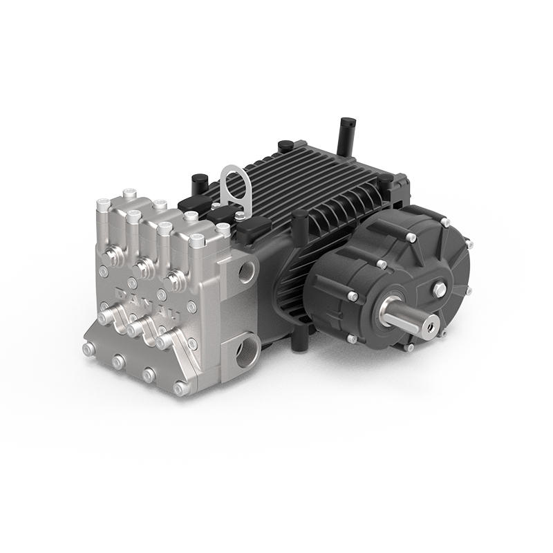 DBH Series Industrial Plunger Pump